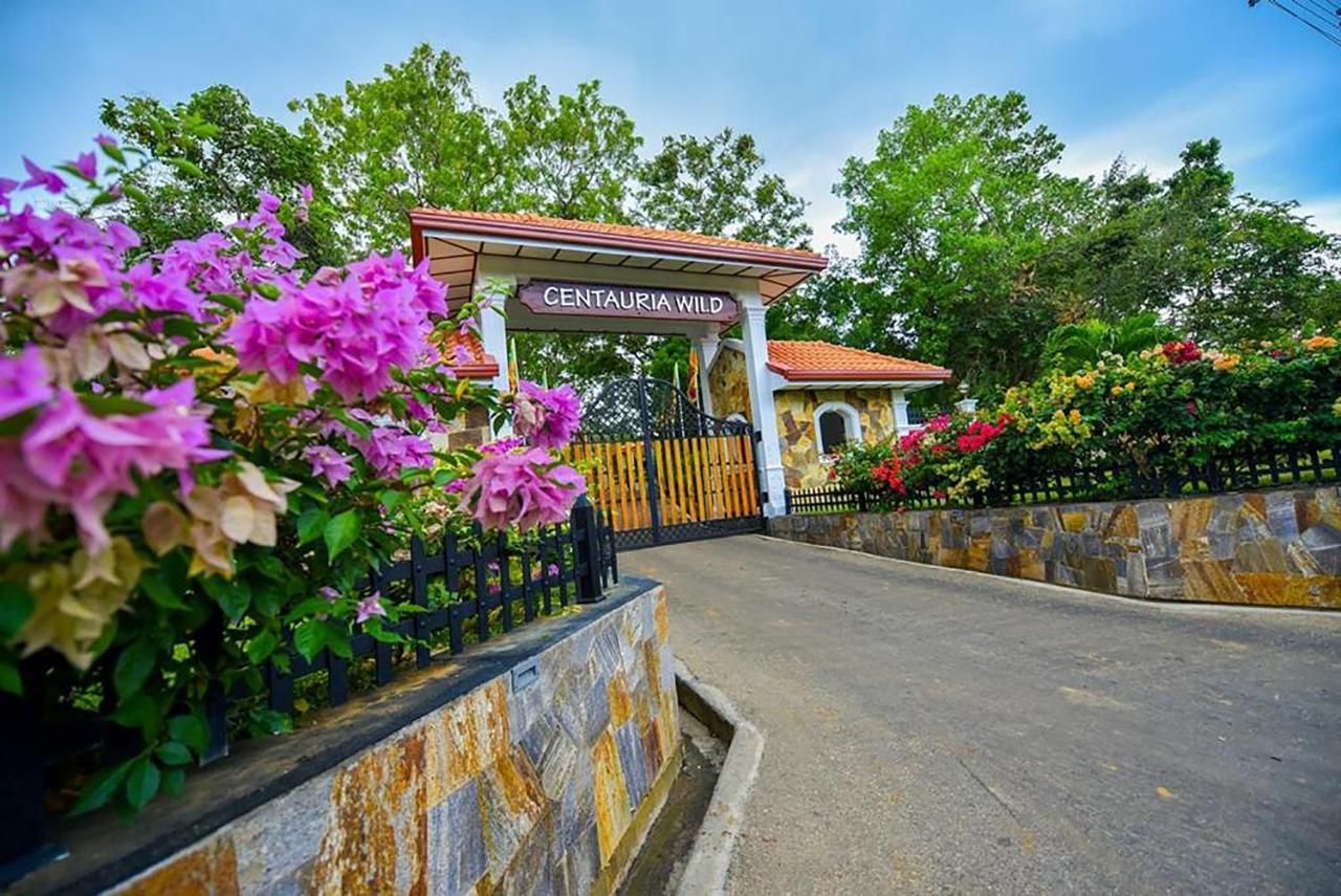 Centauria Wild Hotel อุดาวาลาเว ภายนอก รูปภาพ