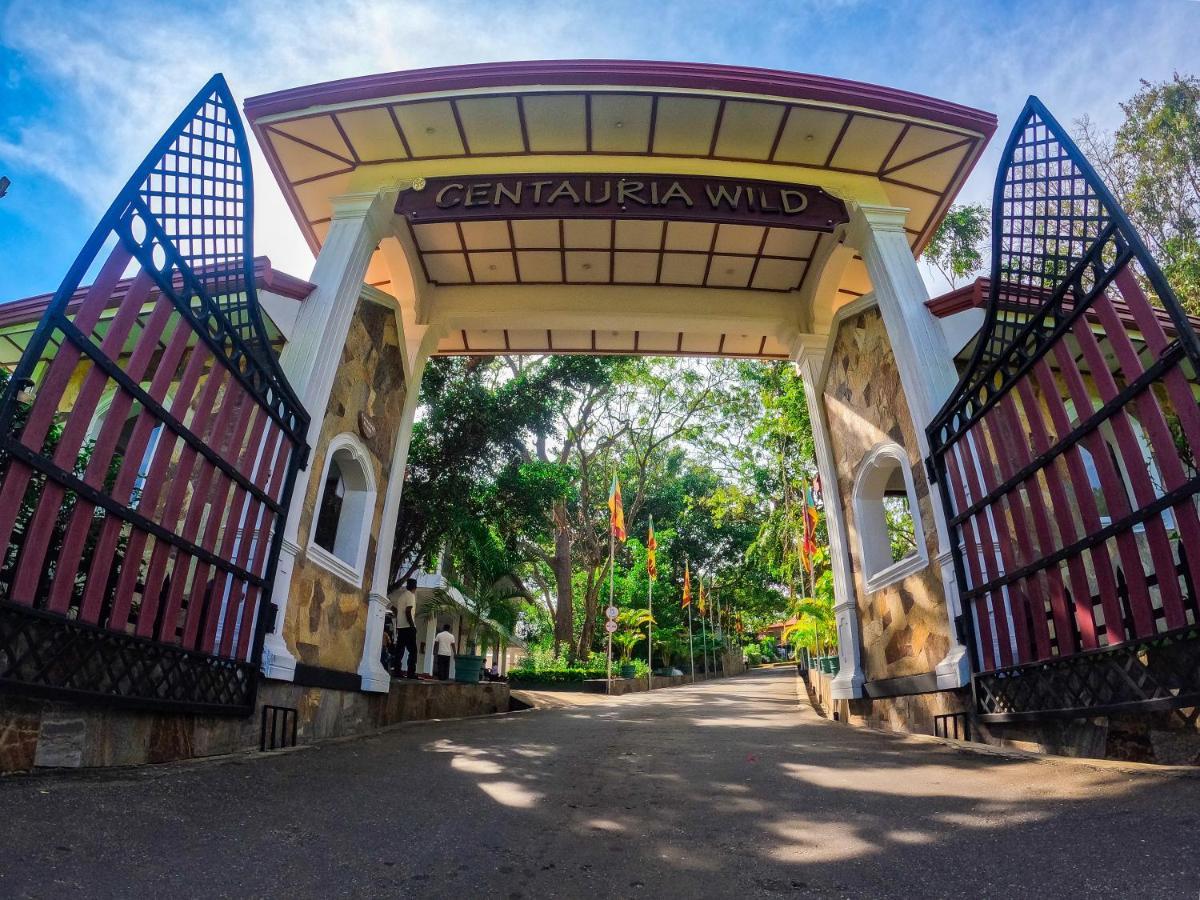 Centauria Wild Hotel อุดาวาลาเว ภายนอก รูปภาพ